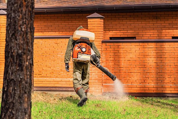 Trusted Termite Control service in Brewster Hill, NY - Nex Pest Control